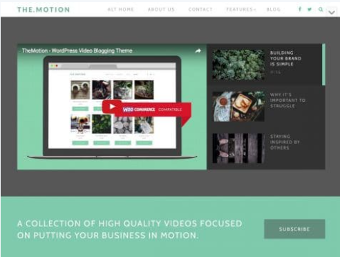 TheMotion