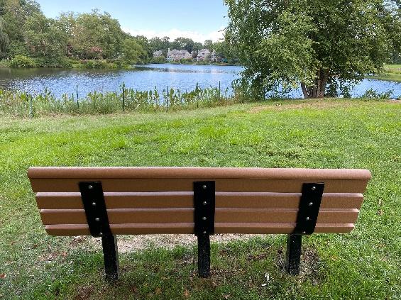 A bench sits in front of a lake

Description automatically generated with low confidence