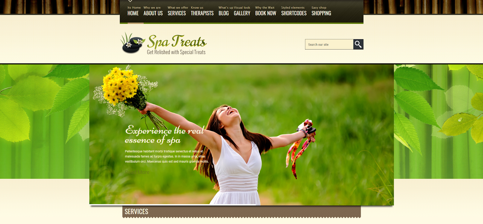 Spa Treats - A WordPress Theme for Wellness and Health