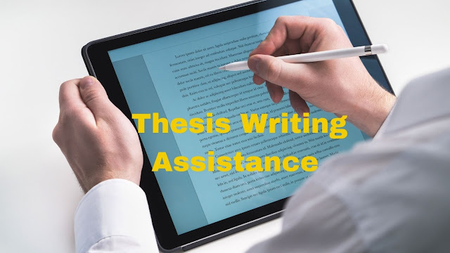 Best-in-class thesis writing assistance