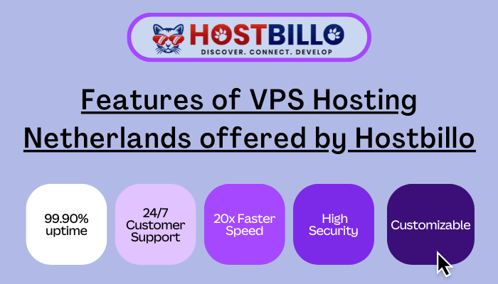 Features of VPS Hosting Netherlands 