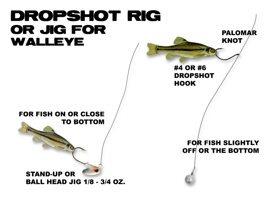 A diagram showing the difference between a live bait rig and a dropshot rig