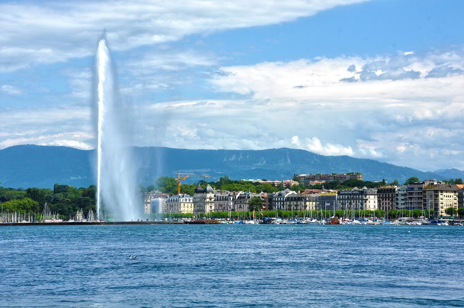 geneva switzerland city seen from lake clear day water fountain