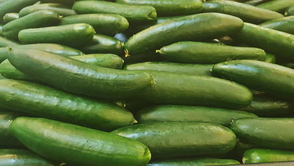 The Nutritional Value of Cucumbers