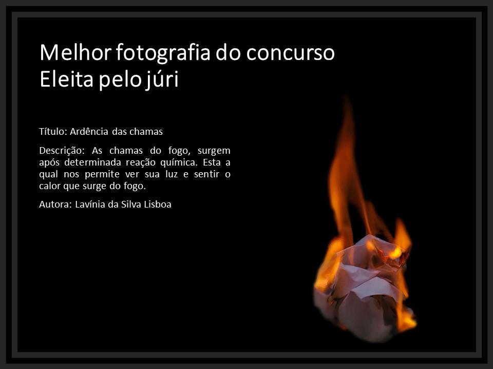 Pode ser uma imagem de fogo e texto que diz "Melhor fotografia do concurso Eleita pelojúri pelo Título: Ardência das chamas Descrição: As chamas do fogo, surgem após determinada reação química. Esta a qual nos permite ver sua luz e sentir o calor que surge do fogo. Autora: Lavínia da S”lya Lisboa"