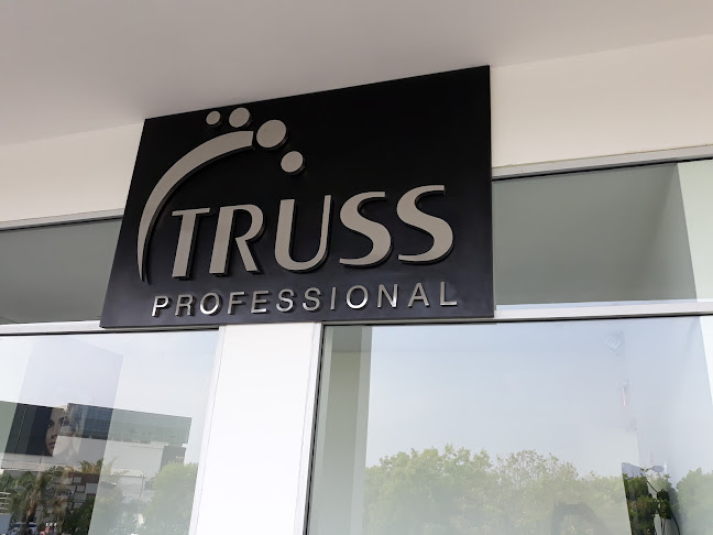 Truss Professional