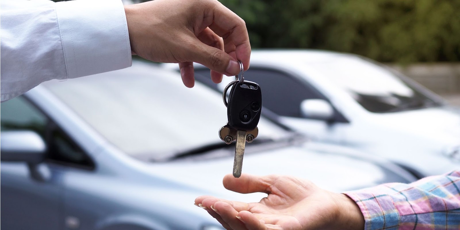 How to apply for a vehicle dealer license in New Zealand