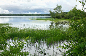 How Fresh Water Has Shaped New Hampshire