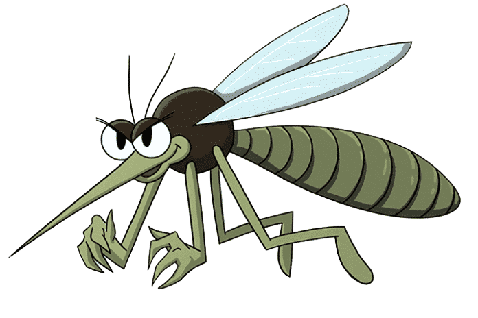 Tại sao phải tìm cách đuổi muỗi tự nhiên?
