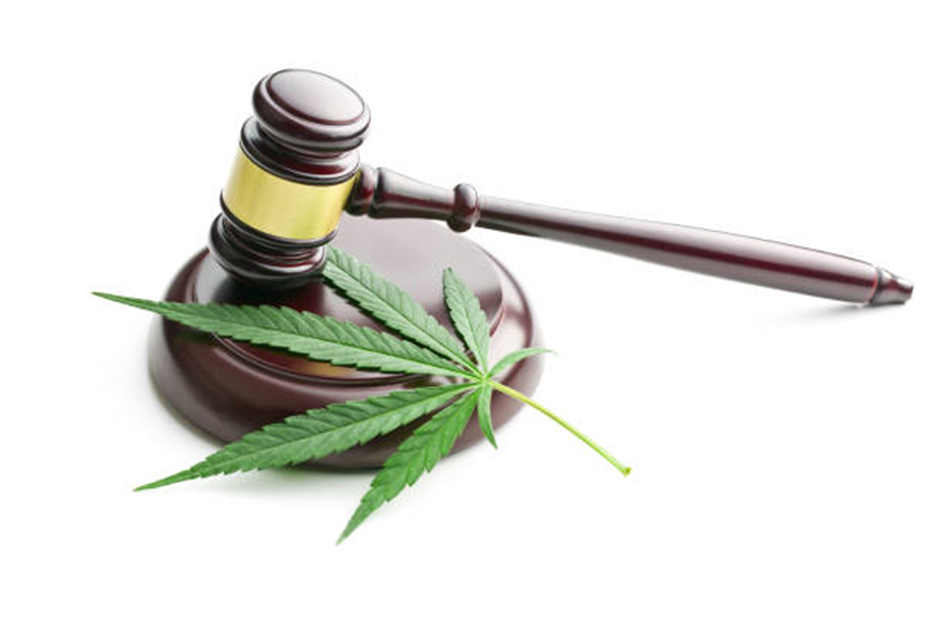 cannabis, chanvre légalisation