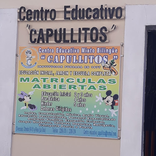Opiniones de Centro Educativo Capullitos en Quito - Escuela