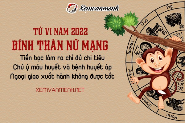 tu-vi-tuoi-binh-than-nam-2022-nu-mang-1956