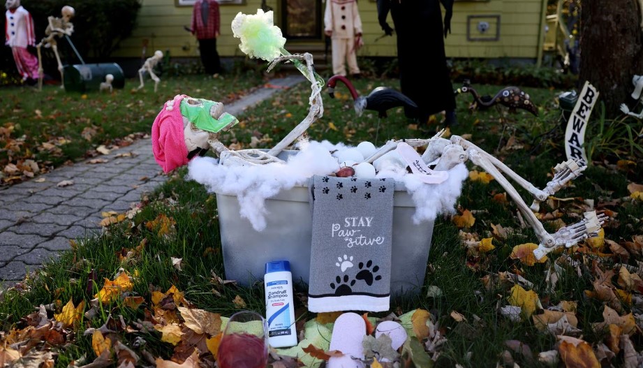 halloween yard decorations