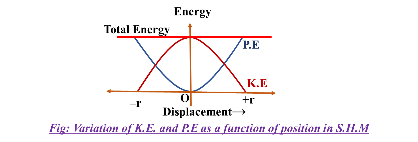 Simple Harmonic Motion (SHM) Notes