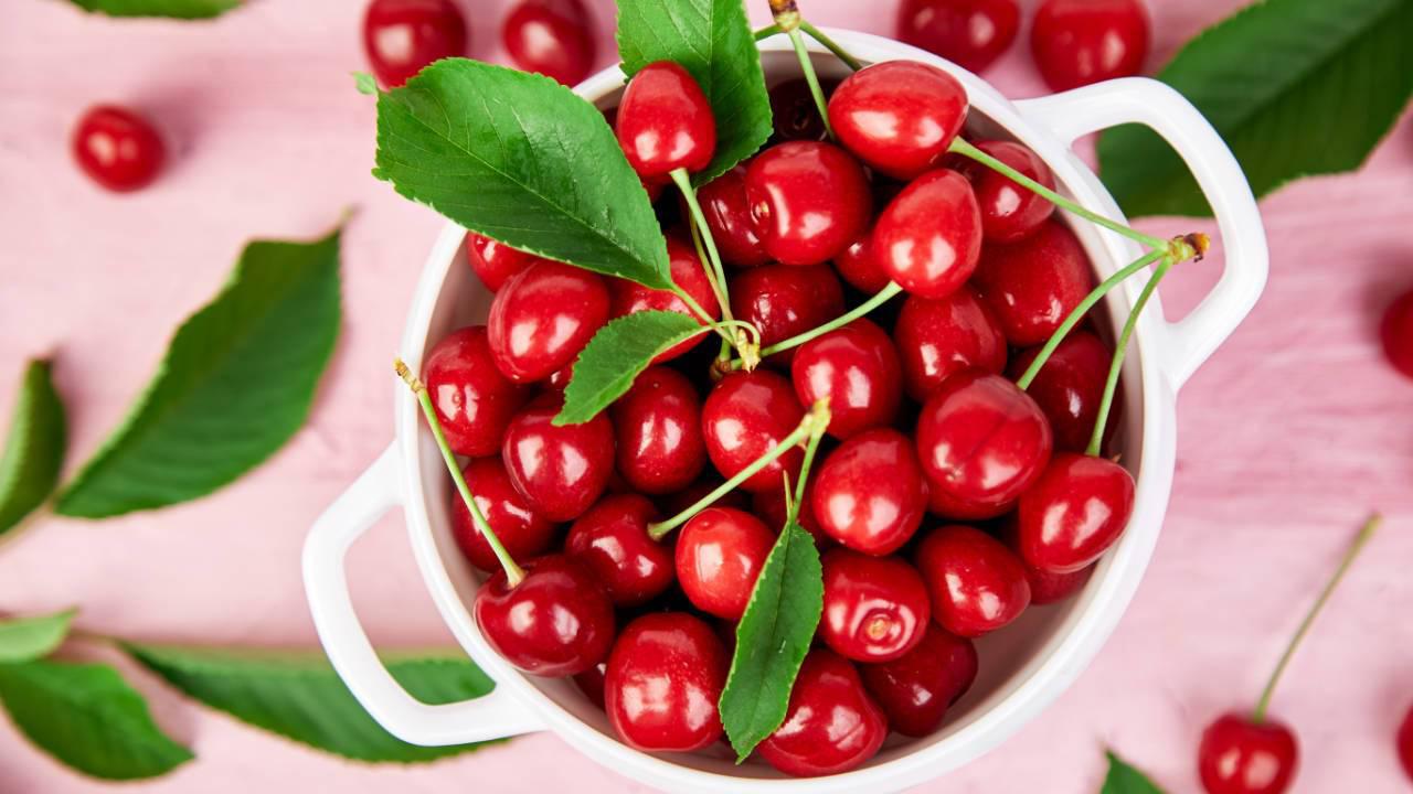 Mẹ và bé: Giá cherry nhập khẩu tại Việt Nam Có Hợp lý không ?  WE6zhI_Td6asSlz1q7kl7nKRagWnP5-XFf-_ppsZCdZIR4Et3PSUqSHxjhZMm92vF_SB4EnKuNZFYv2XSzSodE-BXgInYWxJXC5DZ6tttzusCo8W6GuqL6RNsy3uWelSg9_iy6e_