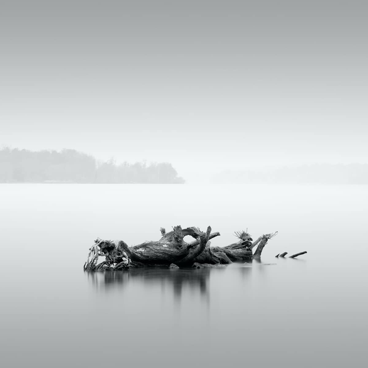 winning images black and white minimalist photography prize 2022 20