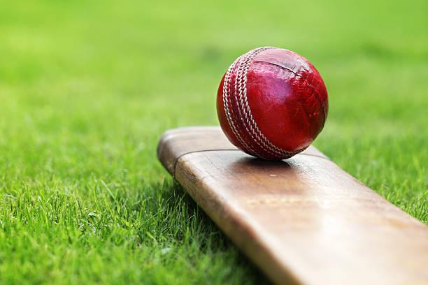 Cricket is in my blood” say new immigrants who are expanding the game in NY  and nationwide | NY State Senate
