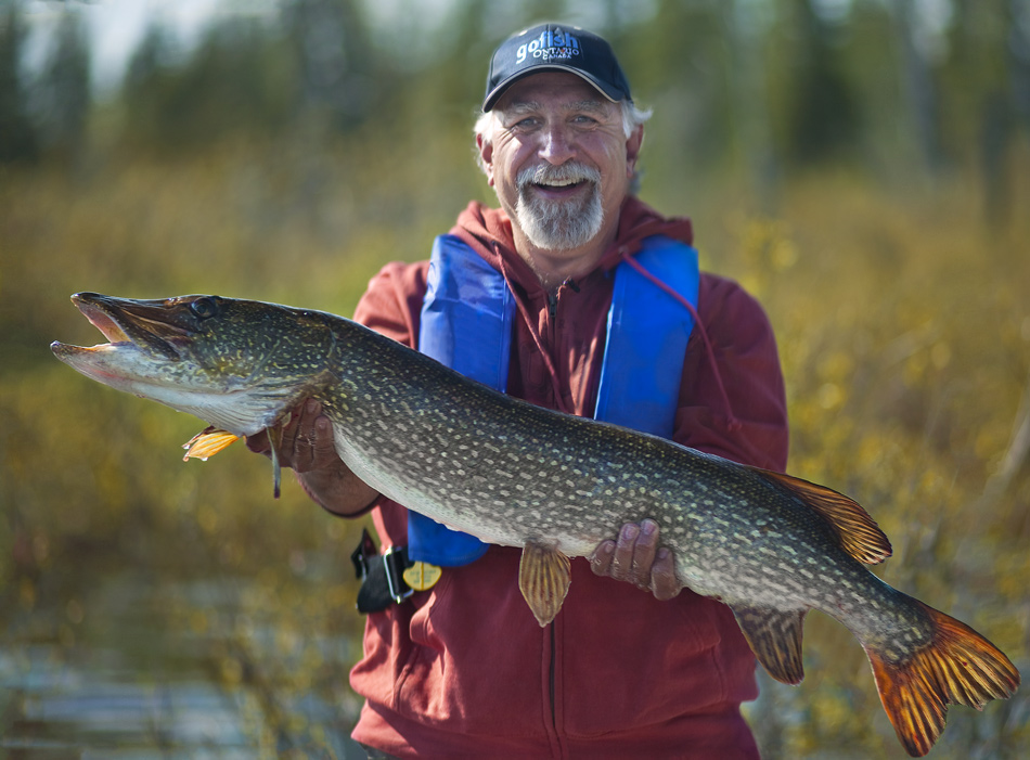 Ang holding a fall caught northern pike