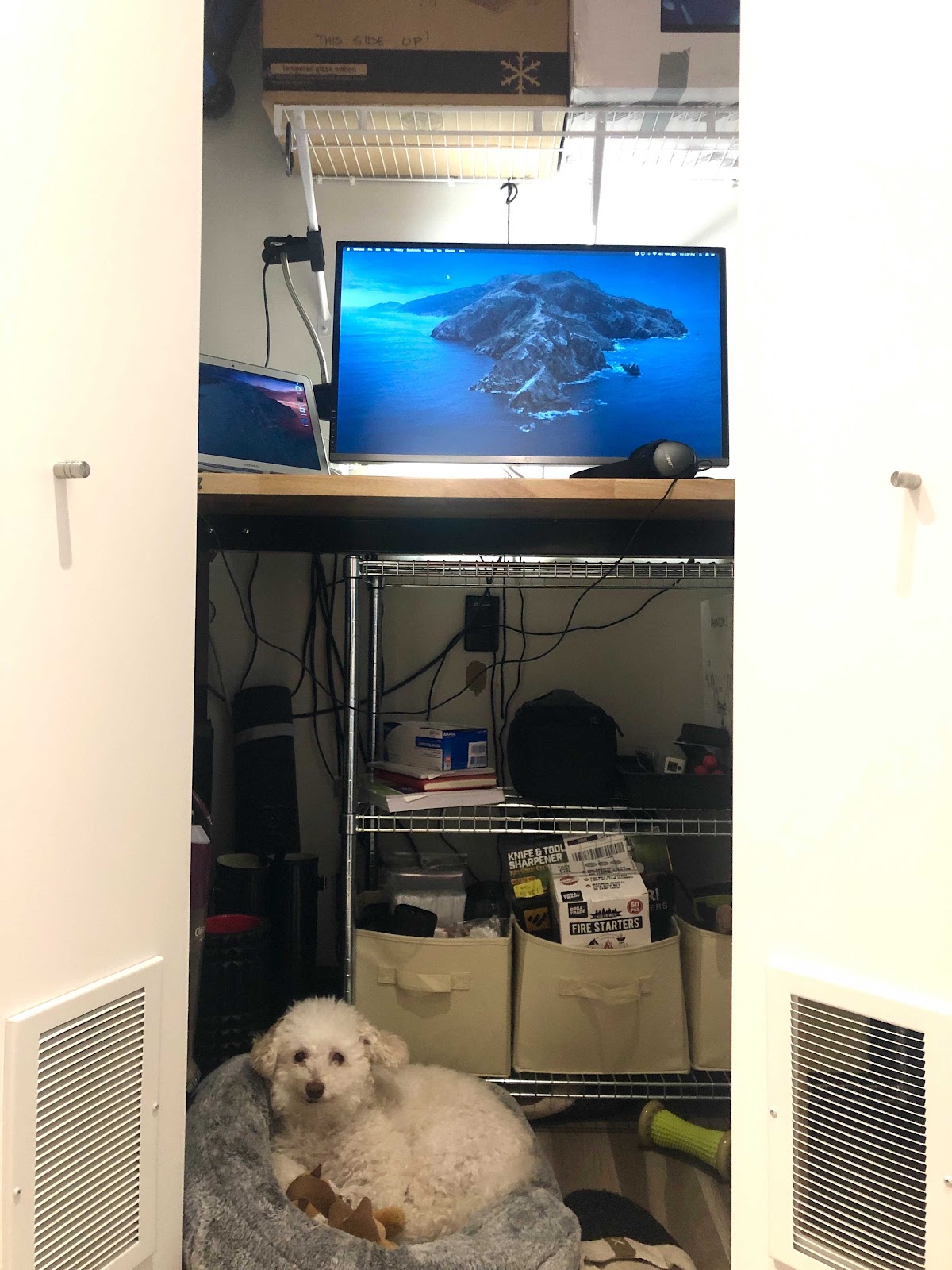 closet-office-with-dog