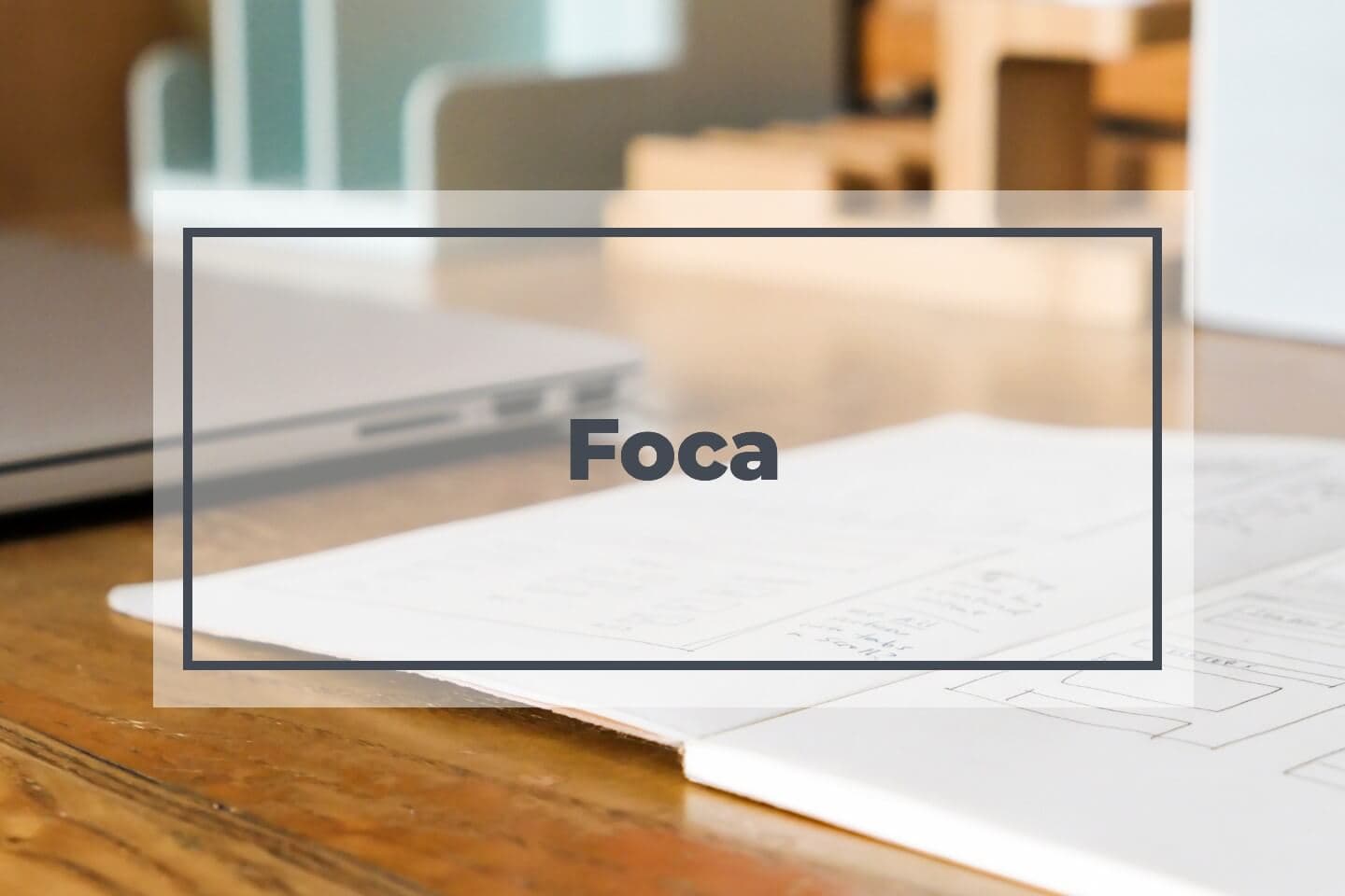 Foca stock images