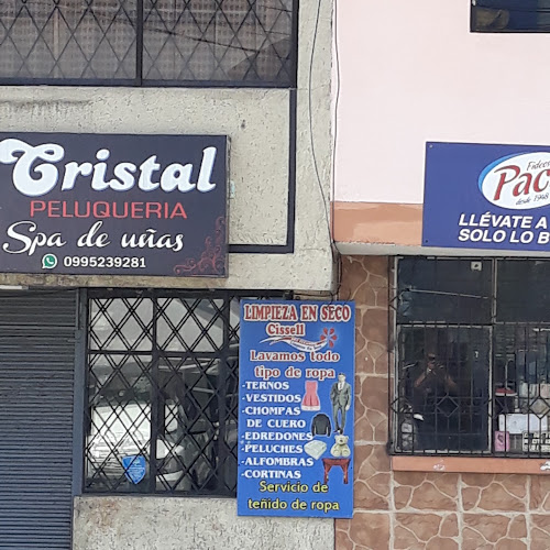 Opiniones de Limpieza En Seco Mishell en Quito - Lavandería