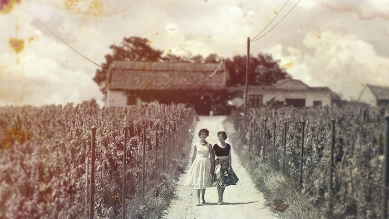 Hungarian wine culture comes to life in century-old photographs