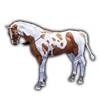 BDO Horse Breeding Advanced: Coats & Color Theory | GrumpyG