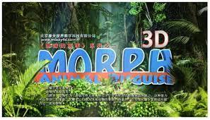  Q&A on Chinas 3D Market