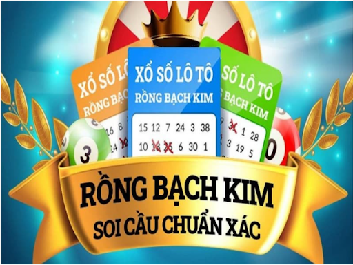 Soi cầu xổ số miền bắc rồng bạch kim là gì?