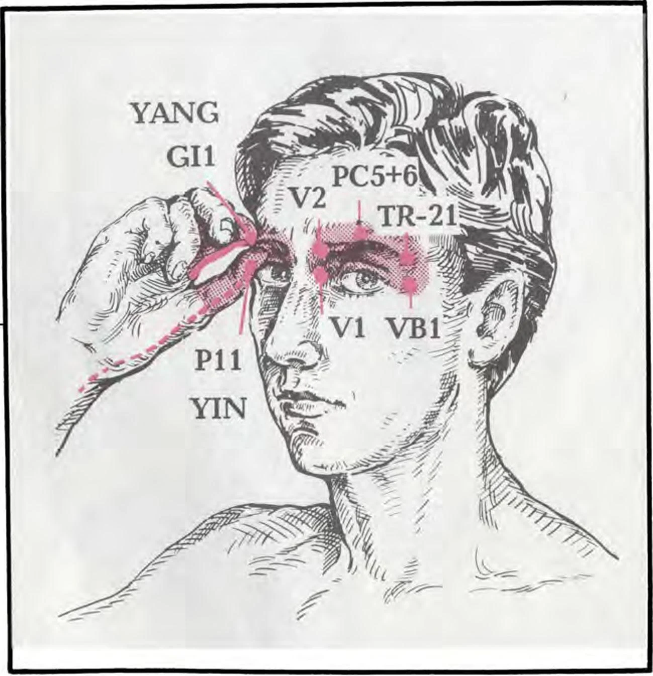 https://lh3.googleusercontent.com/9JdOfm9pR0HyQ6FmeJRCA3eoZybBzsGkdxNSg9xdmapCiVO56KJ6Cu8Pk3uxMYpNukq09FxkTBvKuzCe9I1CO7gp1OY2e-it-ZpruW4zC7KOK8jzLnBejNNq4vwtg0tNtPhjVaZjAASgB93VQiCfQw
