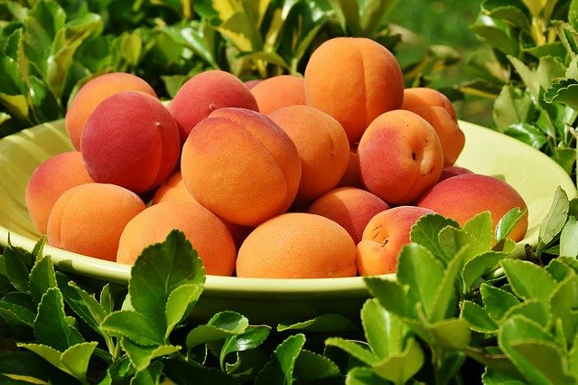 peaches scientific name