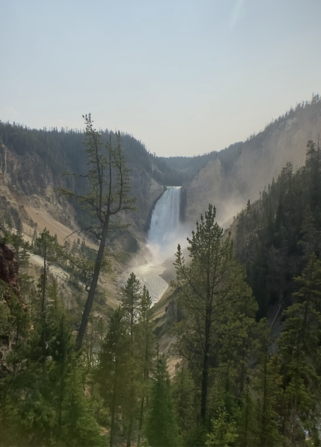 Trip to Yellowstone and UnderCanvas