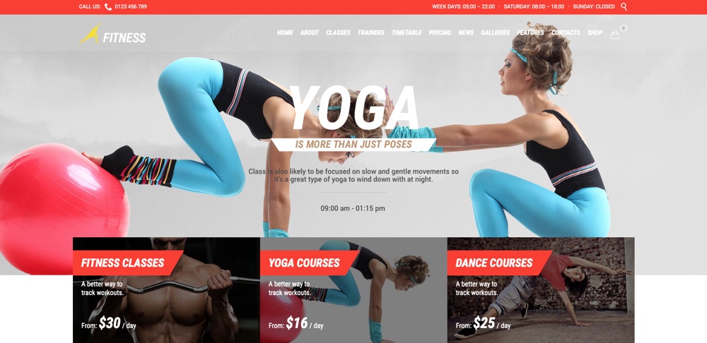 Tema WordPress Fitness Sport Gym