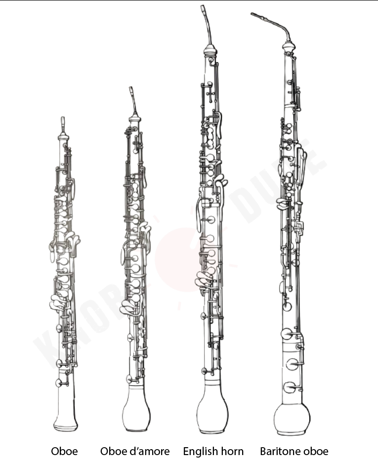 Oboe family. Source: knobdude.com