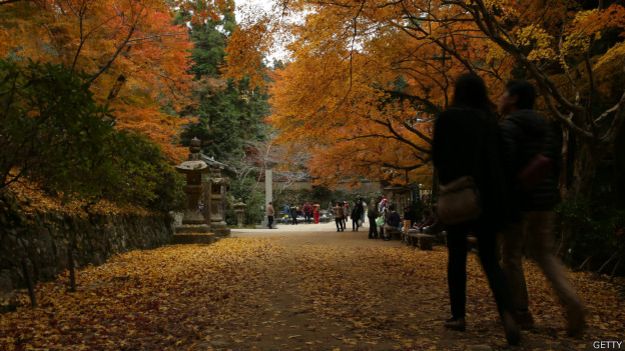 Parque Yoyogi, en Tokio