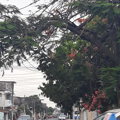 Opiniones de Escuela "General Vicente Anda Aguirre" en Guayaquil - Escuela