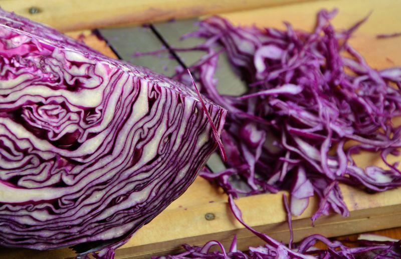 Cabbage purifies the blood 