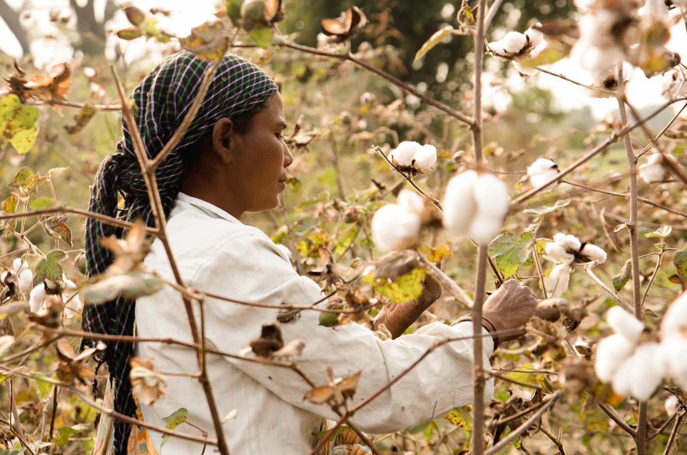 Why is organic cotton better than conventional cotton? – The Slow Label