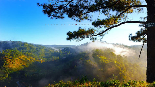 Ma Rừng Lữ Quán Đà Lạt