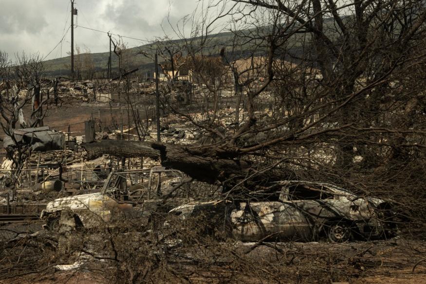 Số người chết trong vụ cháy rừng Hawaii có thể tăng lên 300