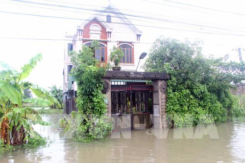http://image.bnews.vn/MediaUpload/Content/2016/10/15/112140_nghe-an-mua-lon-nhieu-tuyen-duong-dan-cu-ngap-sau.jpg