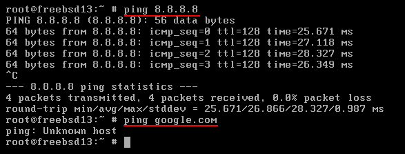 FreeBSD Cannot Connect To The Internet: ping IP works. Source: nudesystems.com