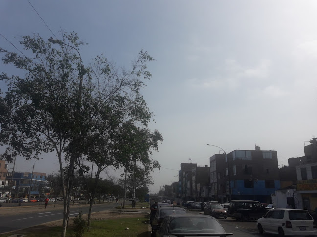 Mz T2 Lote 9 Avenida Tomas Valle Urbanizacion San Alberto Los Olivos, Cercado de Lima 15302, Perú