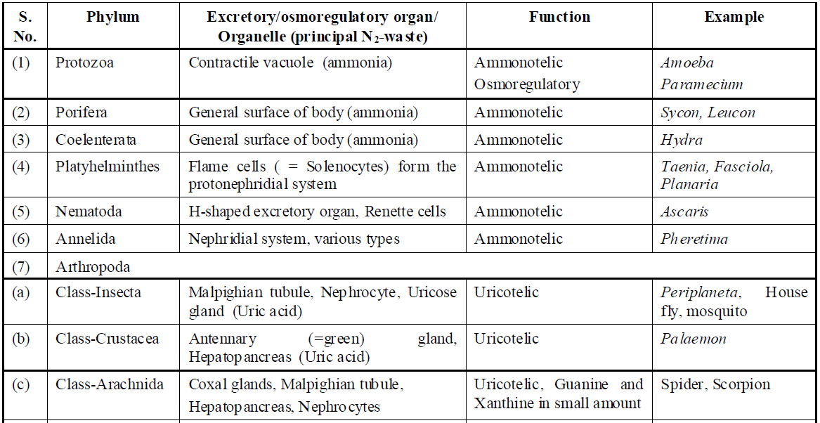 Excretory Products and their Elimination | Biology Notes for  NEET/AIIMS/JIPMER