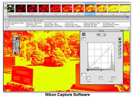 Infrared Techniques with Digital Cameras