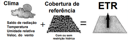 Evapotranspiração Real