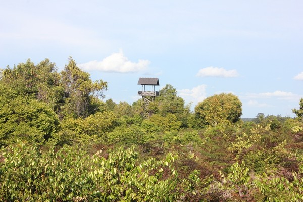 Cagar Alam di Kalimantan Timur untuk Melindungi Tanaman
