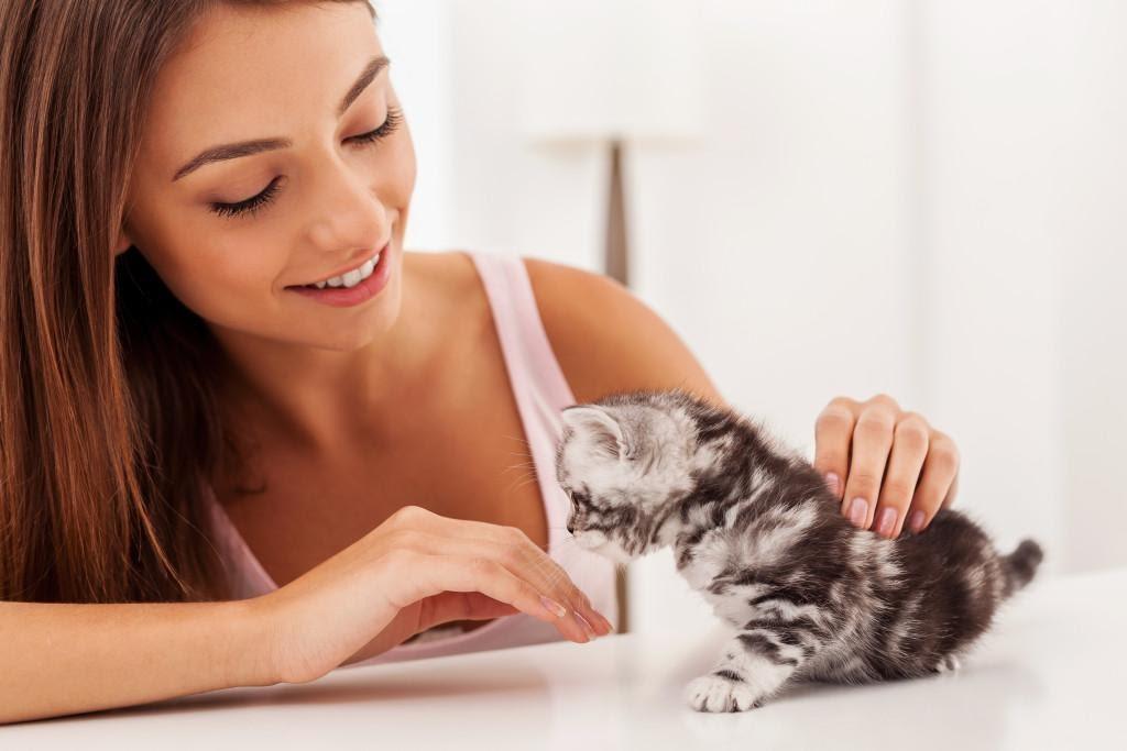 Do Cats Really Love Their Owners More Than Dogs? 