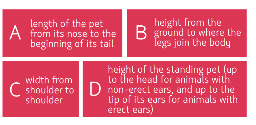 Latam airlines pet carrier sizes