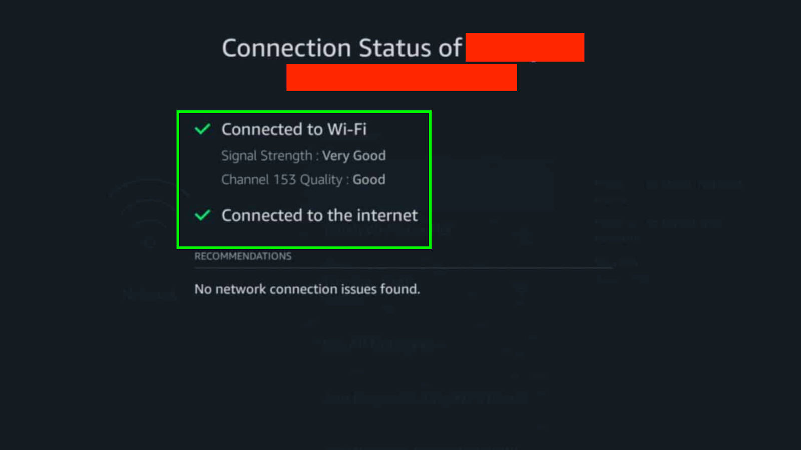 Screenshot of Firestick network connection status screen